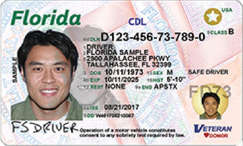 Sample Commercial Drivers License