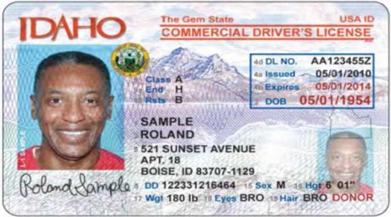 Rolan Sample Commercial Drivers License